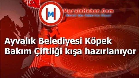 Ayvalık Belediyesi Köpek Bakım Çiftliği kışa hazırlanıyor