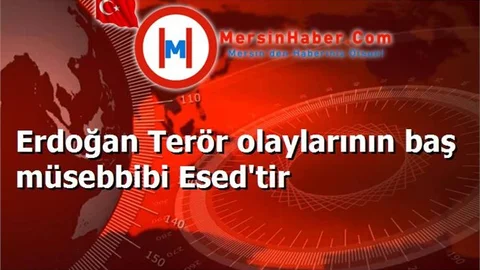Erdoğan Terör olaylarının baş müsebbibi Esed'tir