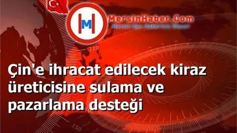 Çin'e ihracat edilecek kiraz üreticisine sulama ve pazarlama desteği