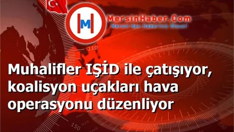 Muhalifler IŞİD ile çatışıyor, koalisyon uçakları hava operasyonu düzenliyor