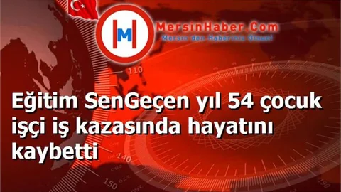 Eğitim SenGeçen yıl 54 çocuk işçi iş kazasında hayatını kaybetti