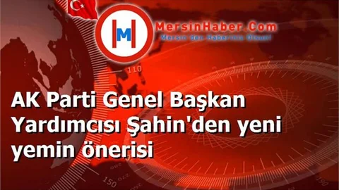AK Parti Genel Başkan Yardımcısı Şahin'den yeni yemin önerisi