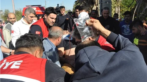 Kontrolden çıkan otomobil palmiyeye çarptı 3 yaralı