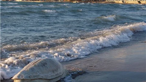Ölü deniz kaplumbağası sahile vurdu