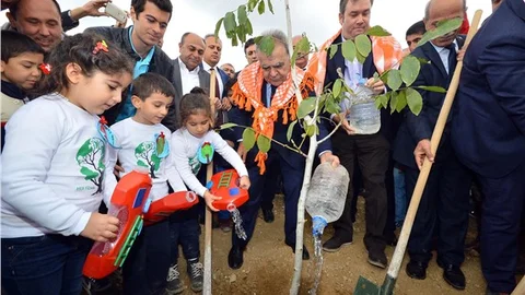 51 dönüm moloz döküm sahası ağaçlandırılıyor