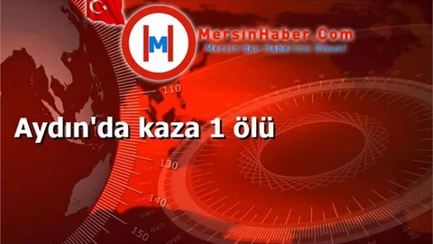 Aydın'da kaza 1 ölü