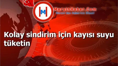 Kolay sindirim için kayısı suyu tüketin