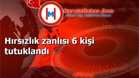 Hırsızlık zanlısı 6 kişi tutuklandı