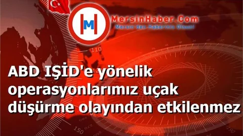 ABD IŞİD'e yönelik operasyonlarımız uçak düşürme olayından etkilenmez