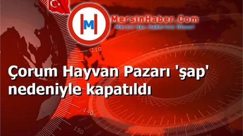 Çorum Hayvan Pazarı 'şap' nedeniyle kapatıldı