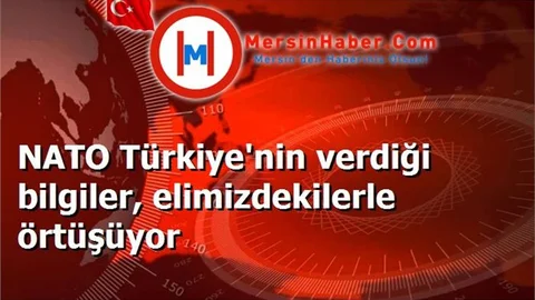 NATO Türkiye'nin verdiği bilgiler, elimizdekilerle örtüşüyor