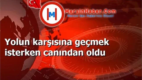 Yolun karşısına geçmek isterken canından oldu