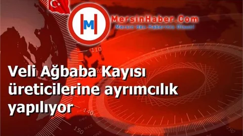 Veli Ağbaba Kayısı üreticilerine ayrımcılık yapılıyor