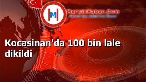 Kocasinan'da 100 bin lale dikildi