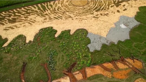 Van Gogh’un ‘Zeytin Ağaçları’ tablosunu tarlaya resmetti