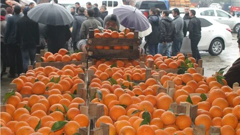 Söke Ziraat Odası Başkanı Kocabaş Narenciyede sorun pazarlamada