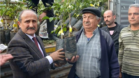Kozanlı çiftçilere 2 bin 203 adet ceviz fidanı dağıtıldı