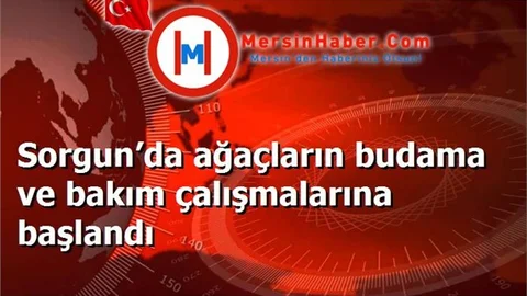 Sorgun’da ağaçların budama ve bakım çalışmalarına başlandı