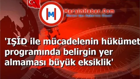 'IŞİD ile mücadelenin hükümet programında belirgin yer almaması büyük eksiklik'