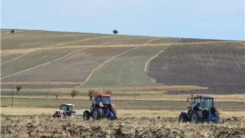 Belediye, kullanılmayan arazilere arpa, buğday ekti