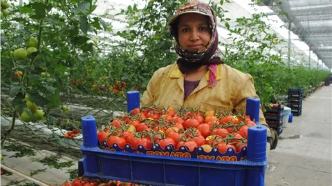 DSP'li Çakmak Kriz çözülmezse turizm ve örtüaltı sebze ihracatımız dibe vurar