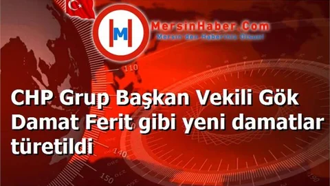 CHP Grup Başkan Vekili Gök Damat Ferit gibi yeni damatlar türetildi