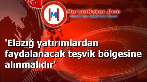 'Elazığ yatırımlardan faydalanacak teşvik bölgesine alınmalıdır'