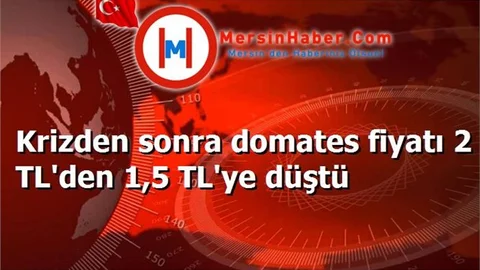 Krizden sonra domates fiyatı 2 TL'den 1,5 TL'ye düştü