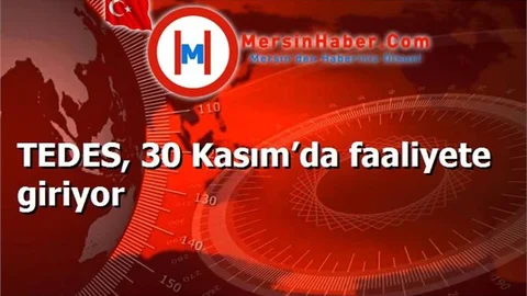 TEDES, 30 Kasım’da faaliyete giriyor
