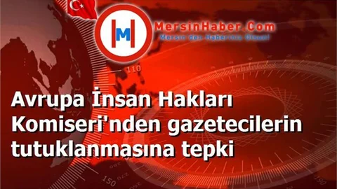 Avrupa İnsan Hakları Komiseri'nden gazetecilerin tutuklanmasına tepki