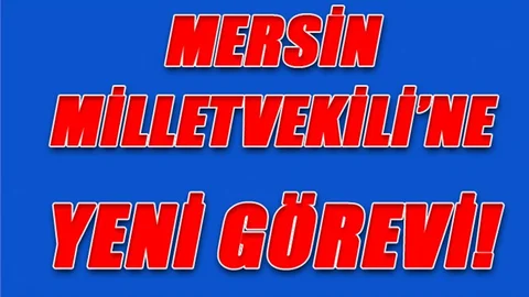 İşte Başbakan Yardımcılarının Sorumlu Olduğu Kollar