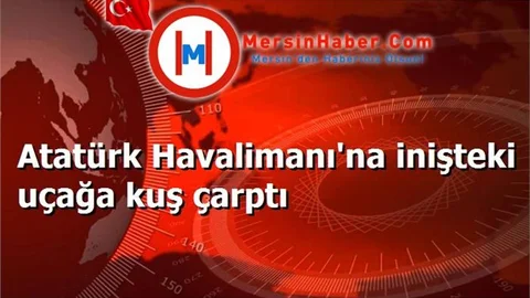 Atatürk Havalimanı'na inişteki uçağa kuş çarptı