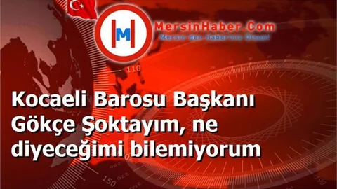 Kocaeli Barosu Başkanı Gökçe Şoktayım, ne diyeceğimi bilemiyorum