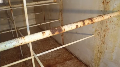 'Sağlığınız için su depolarının bakımını yaptırın'