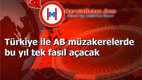Türkiye ile AB müzakerelerde bu yıl tek fasıl açacak