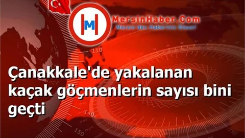 Çanakkale'de yakalanan kaçak göçmenlerin sayısı bini geçti