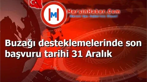 Buzağı desteklemelerinde son başvuru tarihi 31 Aralık