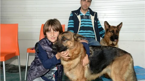 En güzel köpek ırkları yarıştı