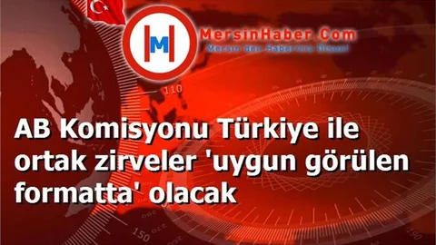 AB Komisyonu Türkiye ile ortak zirveler 'uygun görülen formatta' olacak
