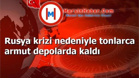 Rusya krizi nedeniyle tonlarca armut depolarda kaldı