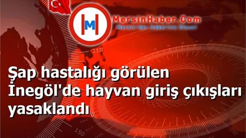Şap hastalığı görülen İnegöl'de hayvan giriş çıkışları yasaklandı