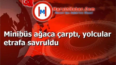 Minibüs ağaca çarptı, yolcular etrafa savruldu