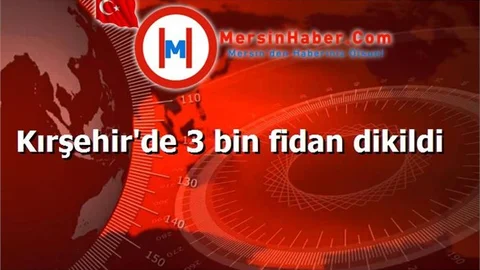 Kırşehir'de 3 bin fidan dikildi