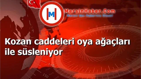 Kozan caddeleri oya ağaçları ile süsleniyor