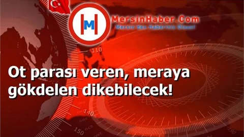 Ot parası veren, meraya gökdelen dikebilecek!