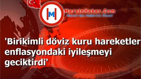 Birikimli döviz kuru  enflasyondaki iyileşmeyi geciktirdi