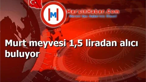 Murt meyvesi 1,5 liradan alıcı buluyor