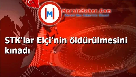 STK'lar Elçi'nin öldürülmesini kınadı
