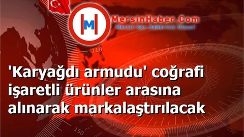 'Karyağdı armudu' coğrafi işaretli ürünler arasına alınarak markalaştırılacak
