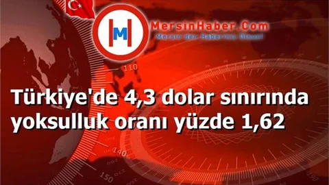 Türkiye'de 4,3 dolar sınırında yoksulluk oranı yüzde 1,62